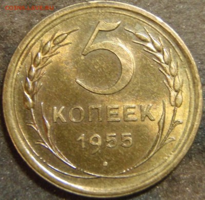5 копеек 1955 блестючая - gdtj 011.JPG