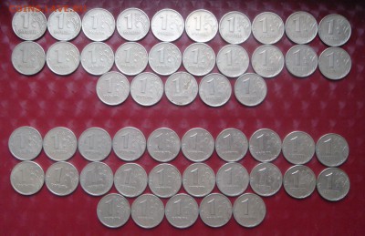 спмд - DSC05317.JPG