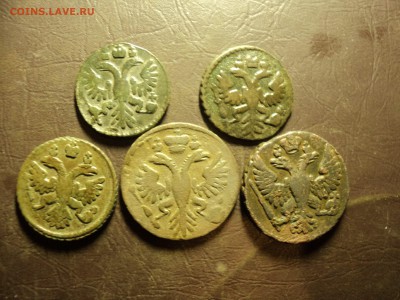 Полушка.денга 5шт - DSC08001-min