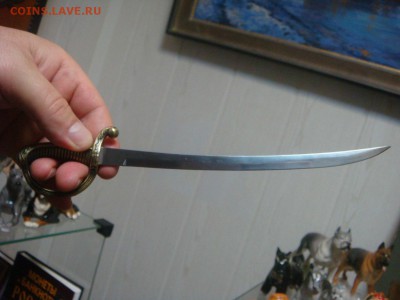 Сабелька - DSC07574.JPG