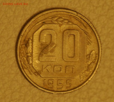 20 копеек 1955 г до 17.10.17 в 20.00 МСК - _DSC79931