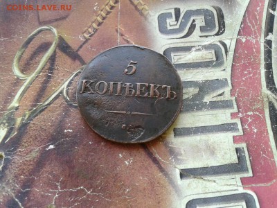 5 копеек 1831 СМ до 15.10.2017 - 1831 (2) - копия
