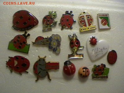 божьи коровки 15шт до 20.10.17 до 22.00 мск - IMGA0471.JPG