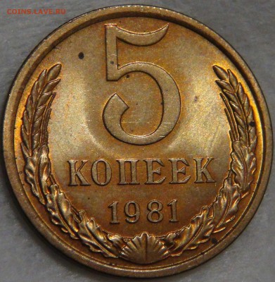 5 копеек 1981 UNC Мешковая   до 16.10.17 (пн. 22-30) - DSC03403.JPG