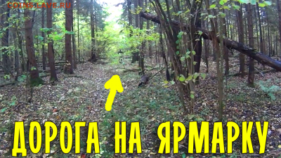 Видео Дневник Кладоискателя - лес.mp4_snapshot_00.02_[2017.10.11_11.03.31] копия
