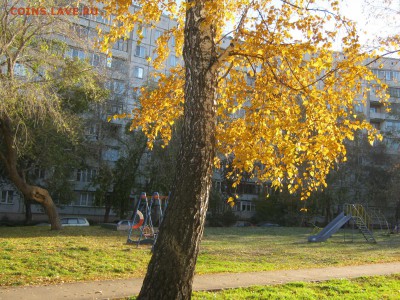 Стихи на заданную тему - IMG_4132[2].JPG