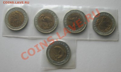Красная книга 50 рублей, 5шт. 1993г. - IMG_0125.JPG
