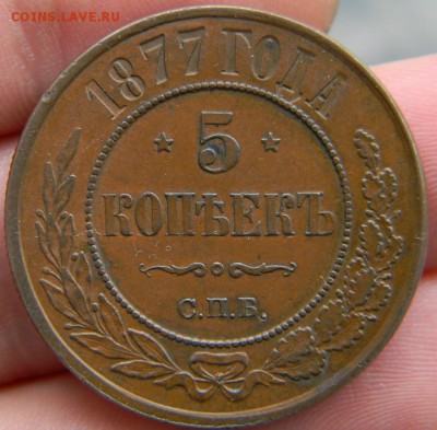 5 коп. 1870 г. домашняя. - DSCN1503.JPG
