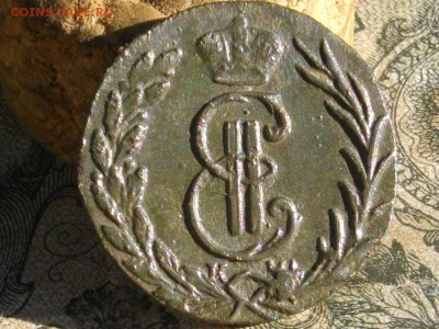 Сиб Мон Денга 1771 км до 16 10 17 22-00мск - IMGP5263.JPG