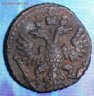 Полушка 1735г.До 16.10. - SAM_8211.JPG