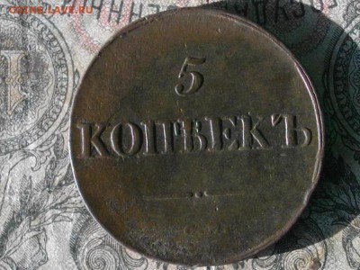 5 копеек 1833 см до 18 10 17 22-00 мск - IMGP5307.JPG