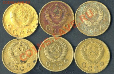 подскажите по разновидностям-2 - img055