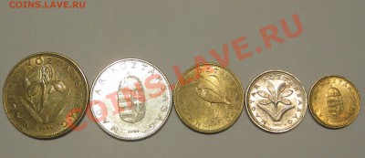 Венгрия подборка   Окончание:15.03.11. в 22-00 - IMG_1115