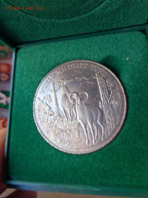 Кипр,1 фунт,Муфлон  1986 г никель !  до 21-30 мск  23.х - DSC03507.JPG