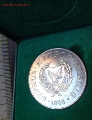 Кипр,1 фунт,Муфлон  1986 г никель !  до 21-30 мск  23.х - DSC03511.JPG