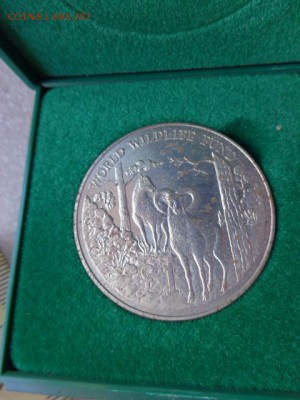 Кипр,1 фунт,Муфлон  1986 г никель !  до 21-30 мск  23.х - DSC03509.JPG