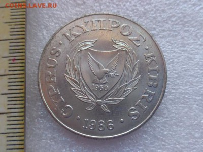 Кипр,1 фунт,Муфлон  1986 г никель !  до 21-30 мск  23.х - DSC03514.JPG