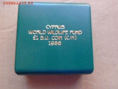 Кипр,1 фунт,Муфлон  1986 г никель !  до 21-30 мск  23.х - DSC03505.JPG
