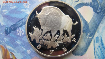 1 рубль "Зубр" 1997 года, оценка - IMG_6979.JPG