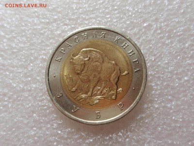 КК 1994 Зубр, небольшой брак. - PA190606.JPG