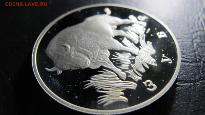 1 рубль "Зубр" 1997 года - IMG_7083.JPG