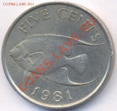 Бермуды 5 центов.1981 г.  До 16.03.11 г. 20-00 МСК. - Бермуды 81