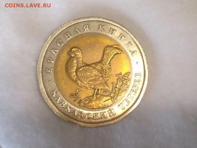 К.К. Кавказский Тетерев до 30 .10.2017 22.10 по Москве - whM1E6OfSb0