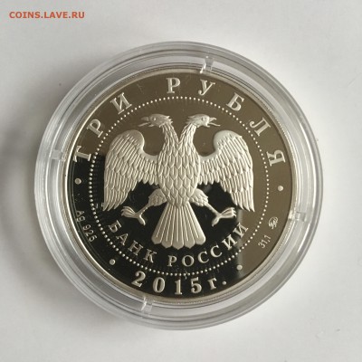 3 р. 2015 Лось 27.10.17 21.10 мск - IMG_3048.JPG