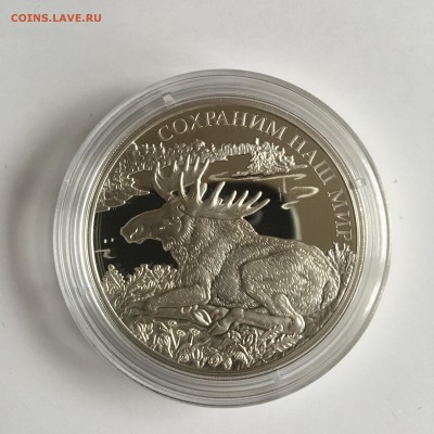 3 р. 2015 Лось 27.10.17 21.10 мск - IMG_3047.JPG