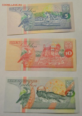 5, 10, 25, 100 гульденов 1996, 1998 Суринам до 24.10.2017 - DSC_1412.JPG
