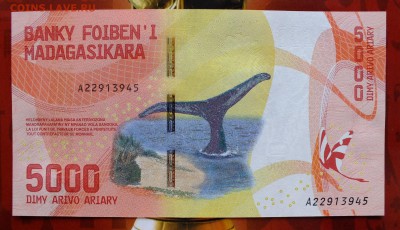 Мадагаскар 5000 ариари 2017 до 22-00 26.10.2017 - DSCF7962.JPG