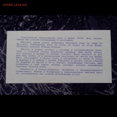 5 рублей 1991 " Филин" и 5 рублей 1991 " Винторогий козёл". - Новое_17.106-min[1]