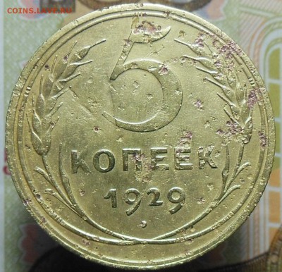 5 копеек 1929 год - 5 коп. 1929 г.5