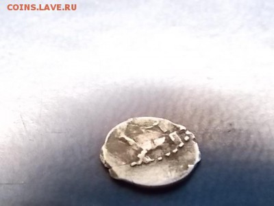 Серебряная чешуйка ??? - DSCN0198.JPG