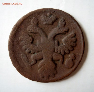 деньга 1731г. 1737г. 1746г. - DSCN7749.JPG
