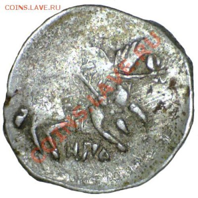 Копейка МФ, Новгород, до 17.03.11 21-00+ - 11031222452828112984