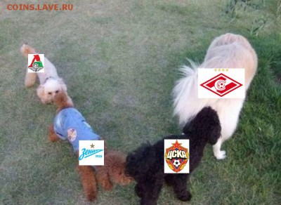 РФПЛ 2017-2018 - 43