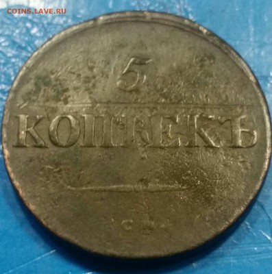 5 копеек 1838 года  (С.М.) - 20171027_225611-1-1