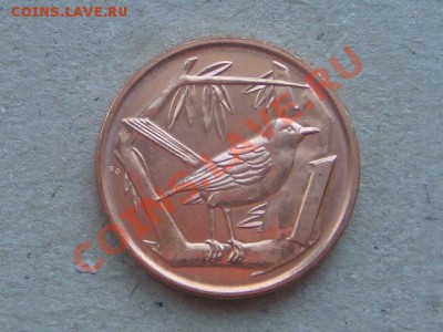 -v- Кайманы 1 цент 2008 Птичка до 17.03(21.00) - DSC01106.JPG