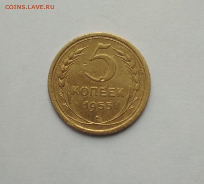 5 копеек 1955г - 55