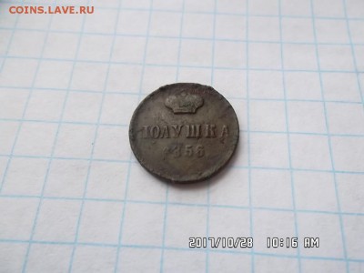полушка 1856 года - SAM_4089.JPG