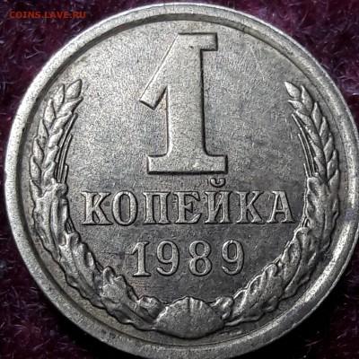 1 копейка 1989 года брак? - 20171029_112438