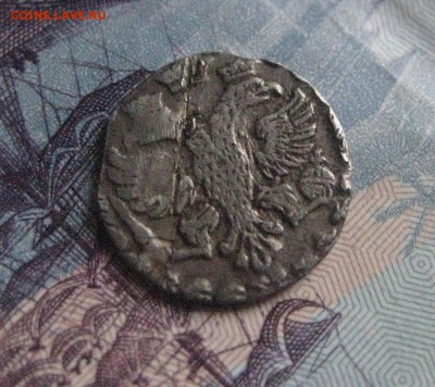 алтын 1704  1.11.17 - IMG_7979