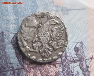 алтын 1704  1.11.17 - IMG_7978