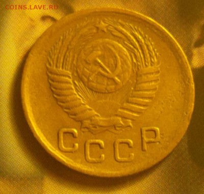 1к50-шт.3-Ф110-редкая-до 2 11 17 22 30 - 2017-09-11-8204_cr