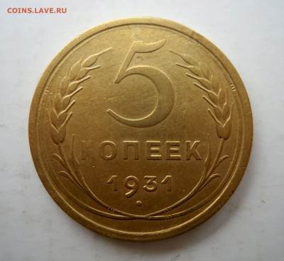 1 копейкат1931г.с. и 5 копеек 1931г. - 5к31г1ярешка.JPG