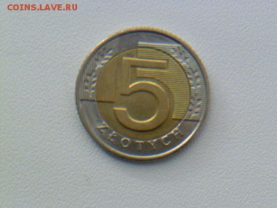 5 злотых 2010 г - P1070036.JPG