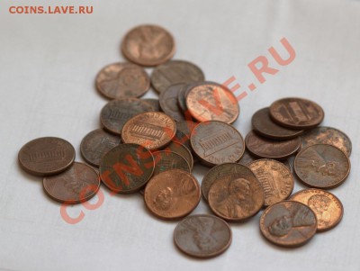 33 одноцентовика США до 21-01 17 марта - IMG_3732.CR2