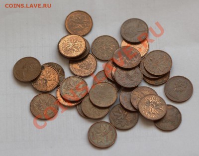 33 одноцентовика Канады до 21-01 17 марта - IMG_3738.CR2