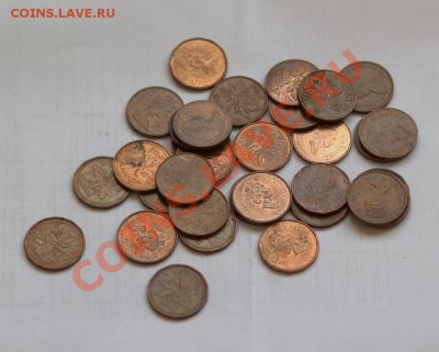 33 одноцентовика Канады до 21-01 17 марта - IMG_3739.CR2